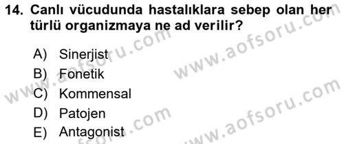Hijyen ve Sanitasyon Dersi 2021 - 2022 Yılı (Vize) Ara Sınav Soruları 14. Soru