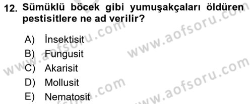 Hijyen ve Sanitasyon Dersi 2021 - 2022 Yılı (Final) Dönem Sonu Sınav Soruları 12. Soru