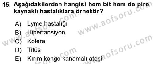 Hijyen ve Sanitasyon Dersi 2021 - 2022 Yılı Yaz Okulu Sınav Soruları 15. Soru