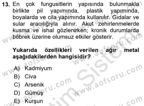Hijyen ve Sanitasyon Dersi 2022 - 2023 Yılı Yaz Okulu Sınav Soruları 13. Soru