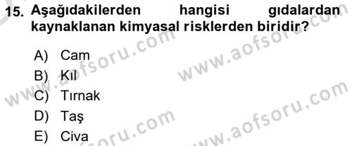 Hijyen ve Sanitasyon Dersi 2022 - 2023 Yılı Yaz Okulu Sınav Soruları 15. Soru