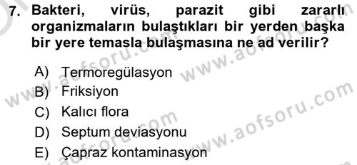 Hijyen ve Sanitasyon Dersi 2022 - 2023 Yılı Yaz Okulu Sınav Soruları 7. Soru
