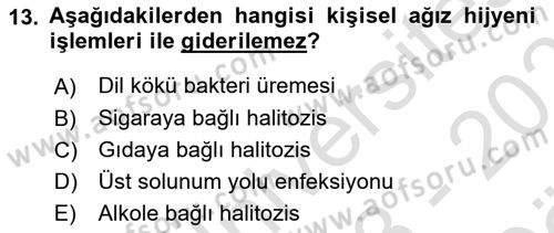 Hijyen ve Sanitasyon Dersi 2023 - 2024 Yılı (Vize) Ara Sınav Soruları 13. Soru