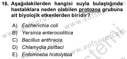 Hijyen ve Sanitasyon Dersi 2023 - 2024 Yılı (Vize) Ara Sınav Soruları 16. Soru