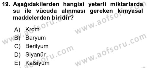 Hijyen ve Sanitasyon Dersi 2023 - 2024 Yılı (Vize) Ara Sınav Soruları 19. Soru