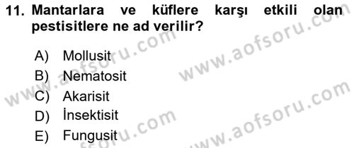 Hijyen ve Sanitasyon Dersi 2023 - 2024 Yılı (Final) Dönem Sonu Sınav Soruları 11. Soru