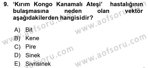Hijyen ve Sanitasyon Dersi 2023 - 2024 Yılı (Final) Dönem Sonu Sınav Soruları 9. Soru