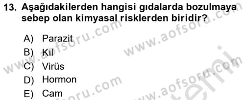 Hijyen ve Sanitasyon Dersi 2023 - 2024 Yılı Yaz Okulu Sınav Soruları 13. Soru