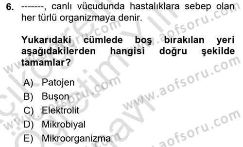 Hijyen ve Sanitasyon Dersi 2023 - 2024 Yılı Yaz Okulu Sınav Soruları 6. Soru