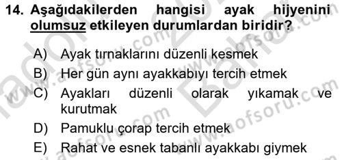 Hijyen ve Sanitasyon Dersi 2024 - 2025 Yılı (Vize) Ara Sınav Soruları 14. Soru