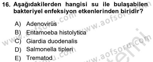 Hijyen ve Sanitasyon Dersi 2024 - 2025 Yılı (Vize) Ara Sınav Soruları 16. Soru