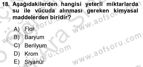 Hijyen ve Sanitasyon Dersi 2024 - 2025 Yılı (Vize) Ara Sınav Soruları 18. Soru