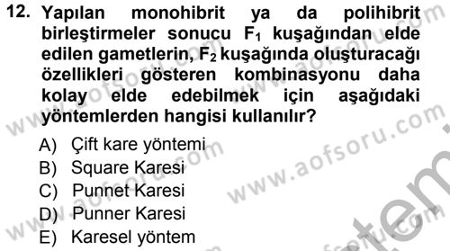 Temel Veteriner Genetik Dersi Ara Sınavı Deneme Sınav Soruları 12. Soru