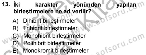 Temel Veteriner Genetik Dersi Ara Sınavı Deneme Sınav Soruları 13. Soru