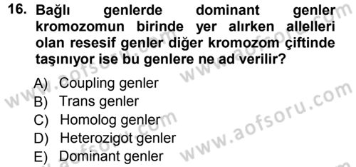 Temel Veteriner Genetik Dersi Ara Sınavı Deneme Sınav Soruları 16. Soru