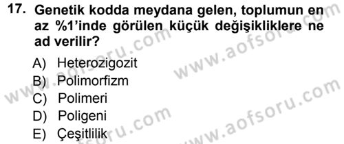 Temel Veteriner Genetik Dersi Ara Sınavı Deneme Sınav Soruları 17. Soru