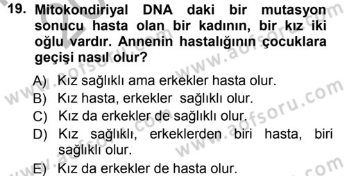 Temel Veteriner Genetik Dersi 2012 - 2013 Yılı (Vize) Ara Sınav Soruları 19. Soru