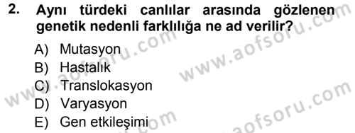 Temel Veteriner Genetik Dersi Ara Sınavı Deneme Sınav Soruları 2. Soru