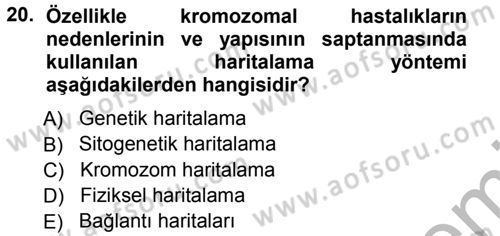 Temel Veteriner Genetik Dersi Ara Sınavı Deneme Sınav Soruları 20. Soru