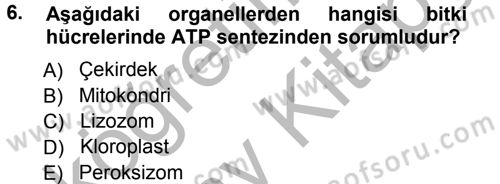 Temel Veteriner Genetik Dersi 2012 - 2013 Yılı (Vize) Ara Sınav Soruları 6. Soru