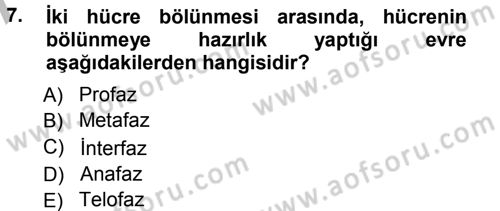 Temel Veteriner Genetik Dersi Ara Sınavı Deneme Sınav Soruları 7. Soru