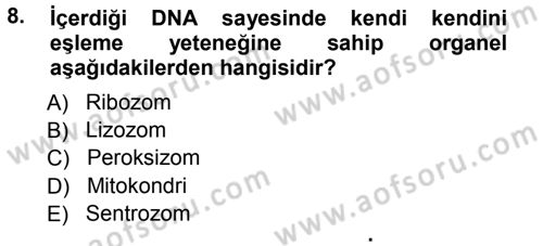 Temel Veteriner Genetik Dersi Ara Sınavı Deneme Sınav Soruları 8. Soru