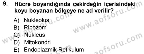 Temel Veteriner Genetik Dersi Ara Sınavı Deneme Sınav Soruları 9. Soru