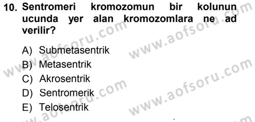 Temel Veteriner Genetik Dersi 2012 - 2013 Yılı (Final) Dönem Sonu Sınavı 10. Soru