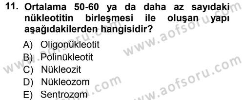 Temel Veteriner Genetik Dersi 2012 - 2013 Yılı (Final) Dönem Sonu Sınav Soruları 11. Soru