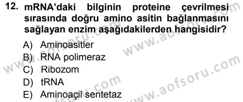 Temel Veteriner Genetik Dersi 2012 - 2013 Yılı (Final) Dönem Sonu Sınav Soruları 12. Soru