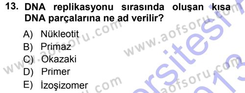 Temel Veteriner Genetik Dersi 2012 - 2013 Yılı (Final) Dönem Sonu Sınav Soruları 13. Soru