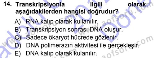 Temel Veteriner Genetik Dersi 2012 - 2013 Yılı (Final) Dönem Sonu Sınav Soruları 14. Soru