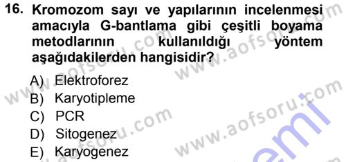 Temel Veteriner Genetik Dersi 2012 - 2013 Yılı (Final) Dönem Sonu Sınav Soruları 16. Soru