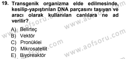 Temel Veteriner Genetik Dersi 2012 - 2013 Yılı (Final) Dönem Sonu Sınav Soruları 19. Soru