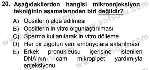 Temel Veteriner Genetik Dersi 2012 - 2013 Yılı (Final) Dönem Sonu Sınav Soruları 20. Soru