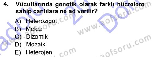 Temel Veteriner Genetik Dersi 2012 - 2013 Yılı (Final) Dönem Sonu Sınav Soruları 4. Soru