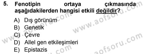 Temel Veteriner Genetik Dersi 2012 - 2013 Yılı (Final) Dönem Sonu Sınav Soruları 5. Soru