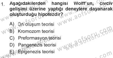 Temel Veteriner Genetik Dersi 2012 - 2013 Yılı Tek Ders Sınav Soruları 1. Soru