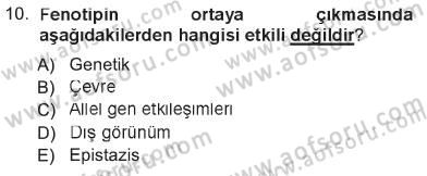 Temel Veteriner Genetik Dersi 2012 - 2013 Yılı Tek Ders Sınav Soruları 10. Soru