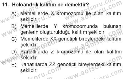 Temel Veteriner Genetik Dersi 2012 - 2013 Yılı Tek Ders Sınav Soruları 11. Soru