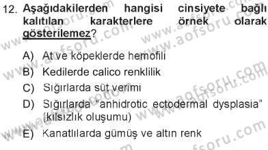 Temel Veteriner Genetik Dersi 2012 - 2013 Yılı Tek Ders Sınav Soruları 12. Soru
