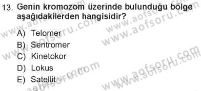 Temel Veteriner Genetik Dersi 2012 - 2013 Yılı Tek Ders Sınav Soruları 13. Soru