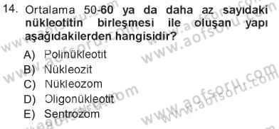 Temel Veteriner Genetik Dersi 2012 - 2013 Yılı Tek Ders Sınav Soruları 14. Soru
