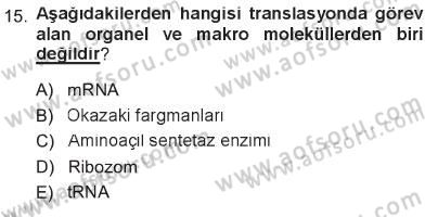 Temel Veteriner Genetik Dersi 2012 - 2013 Yılı Tek Ders Sınav Soruları 15. Soru