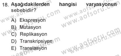 Temel Veteriner Genetik Dersi 2012 - 2013 Yılı Tek Ders Sınav Soruları 18. Soru