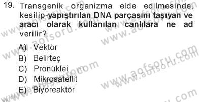 Temel Veteriner Genetik Dersi 2012 - 2013 Yılı Tek Ders Sınav Soruları 19. Soru
