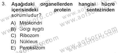 Temel Veteriner Genetik Dersi 2012 - 2013 Yılı Tek Ders Sınav Soruları 3. Soru