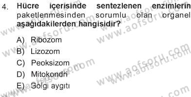 Temel Veteriner Genetik Dersi 2012 - 2013 Yılı Tek Ders Sınav Soruları 4. Soru