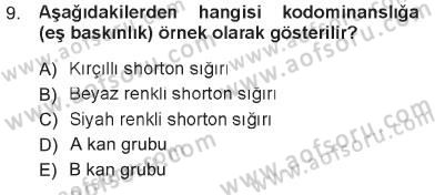 Temel Veteriner Genetik Dersi 2012 - 2013 Yılı Tek Ders Sınav Soruları 9. Soru