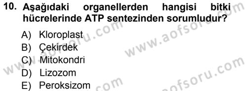 Temel Veteriner Genetik Dersi Ara Sınavı Deneme Sınav Soruları 10. Soru